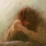 30 októbra -Staň sa “anjelom útechy”