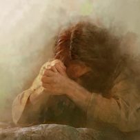 30 októbra -Staň sa “anjelom útechy”