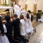 7.JÚN – PRVÉ SVÄTÉ PRIJÍMANIE DETÍ VO VIEDNI.