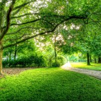 8.-9. AUGUSTA – SPOLOČNÁ CESTA